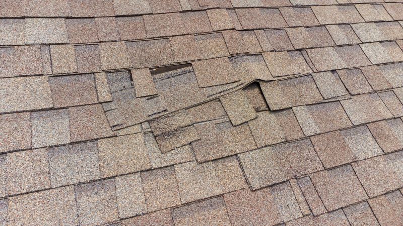 Shingle Replacement