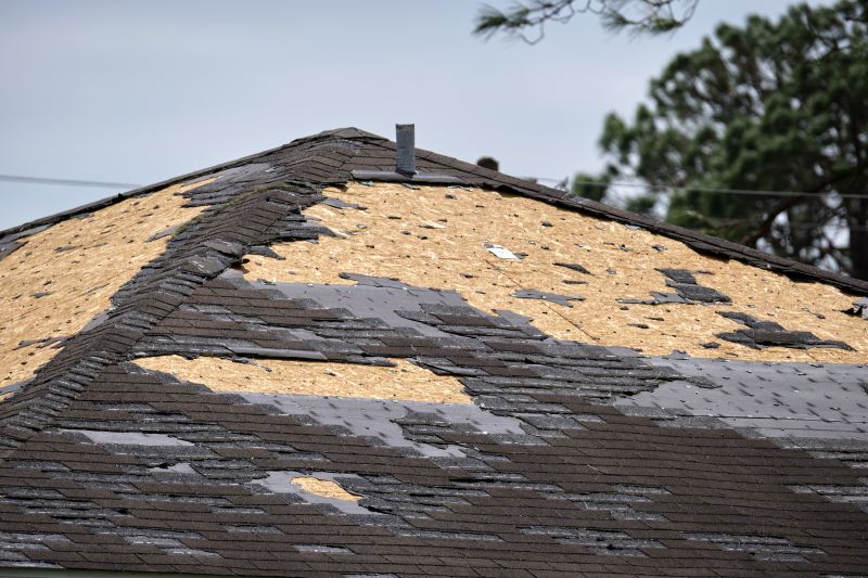Roof Damage Inspection